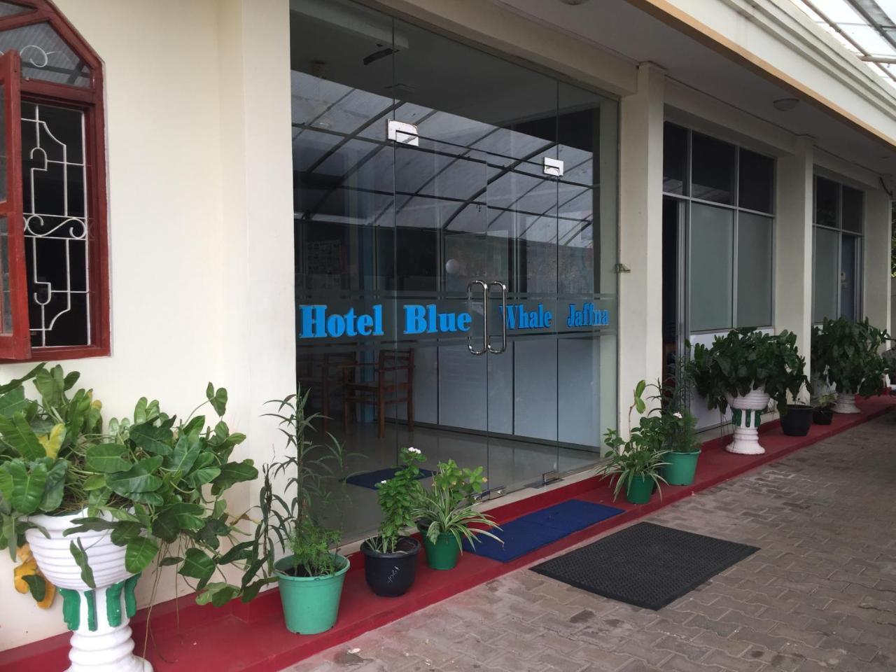 Hotel Blue Whale Jaffna Exteriör bild